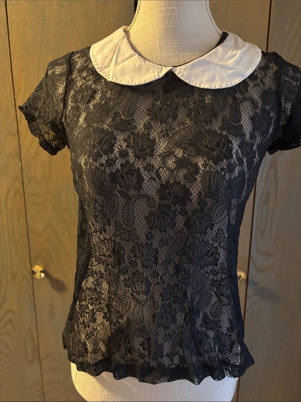 Urban Outfitters Pins and Needles Sheer Lace Peter Pan Collar Top Blouse Retro
